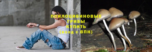 мяу мяу кристалл Арсеньев