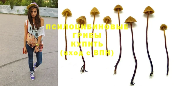 мяу мяу кристалл Арсеньев