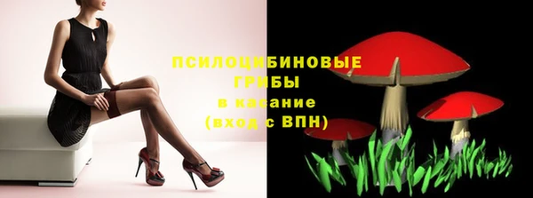 мяу мяу кристалл Арсеньев