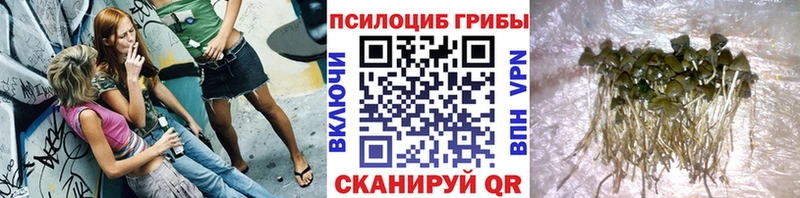 Галлюциногенные грибы MAGIC MUSHROOMS Скопин